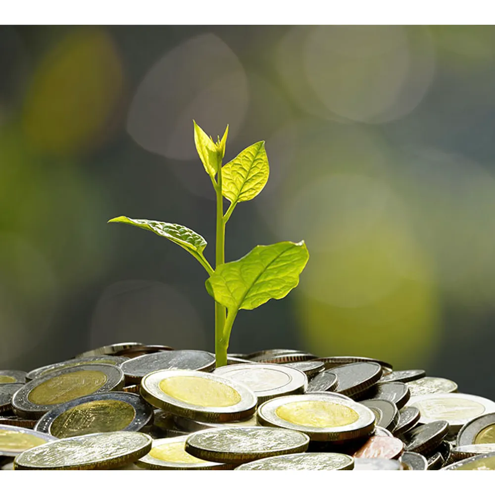 CLIGNOTANT ARR G/D SCOOTER SR MOTARD