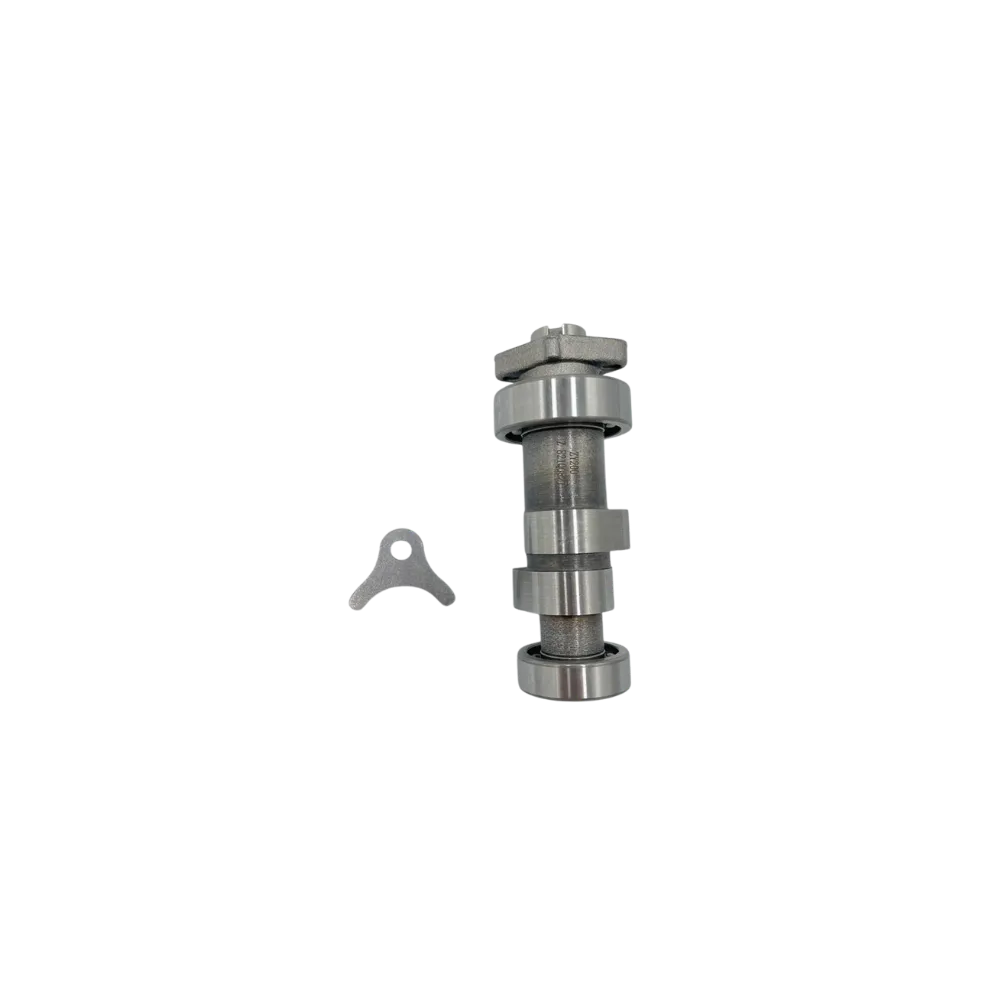 ARBRE A CAM MOTO RX1